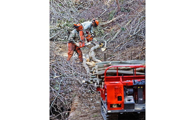 森のちから【五名の薪】20kg×1箱(配送不可:北海道・沖縄県・離島地域) アウトドア キャンプ キャンプ用品 燃料 雑貨 日用品 アウトドア用品 ソロキャン 調理 焚き火 暖取り 