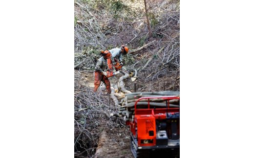 森のちから【五名の 薪 】20kg×30箱(配送不可:北海道・沖縄県・離島地域) キャンプ キャンプ用品 アウトドア 燃料 着火剤 雑貨 日用品 薪ストーブ 暖炉 焚火 ピザ釜 BBQ キャンプファイヤー コナラ クヌギ カシ 