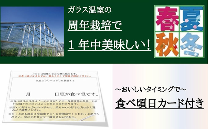 【12ヶ月定期便】クラウンメロン（山等級）1玉入 