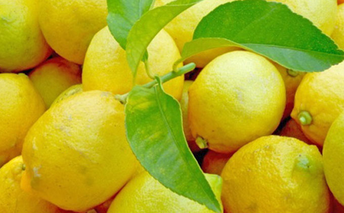 【 小豆島 】豊島レモン2.5キロ【12月上旬発送開始】 果物類 柑橘類 檸檬 フルーツ 