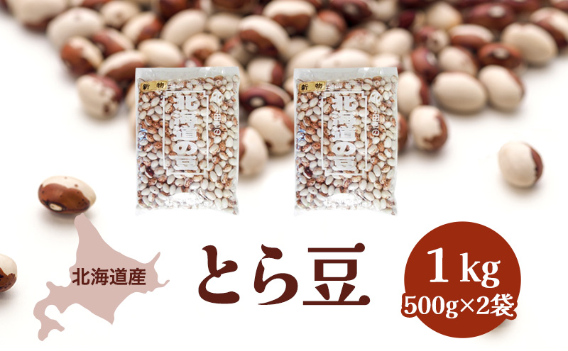 ykCʒzkCY Ƃ瓤1kgmcny Ƃ瓤 Փ    Y N XC[c  kC z