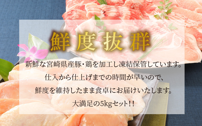 宮崎県木城町のふるさと納税 宮崎県産豚2kg・鶏ムネ3kg　計5kgセット  K16_0015_10