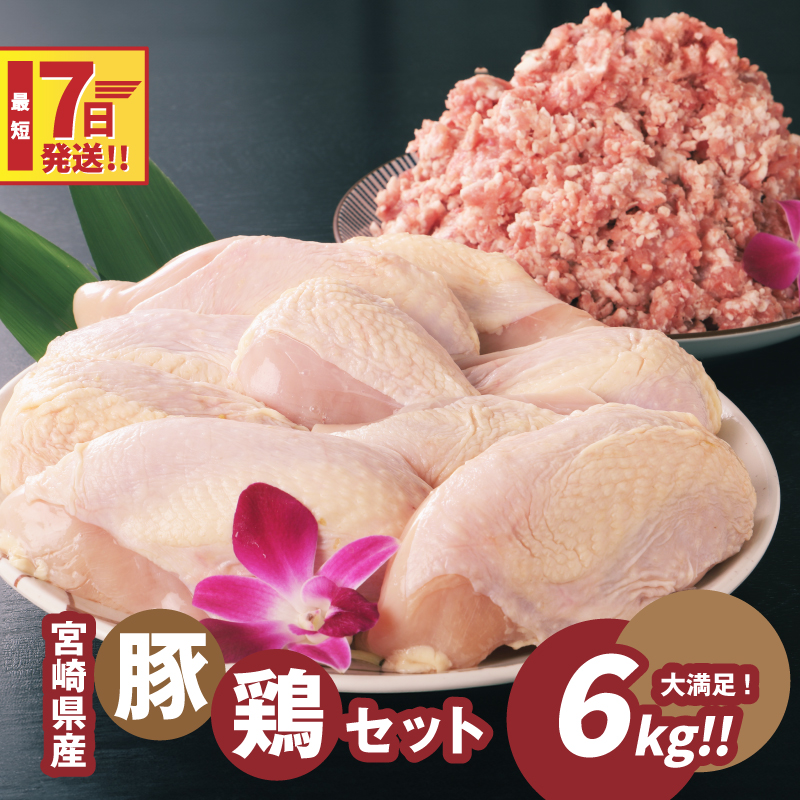 宮崎県木城町のふるさと納税 ＜豚ミンチ3kg・鶏ムネ3kg　計6kgセット＞ K16_0028_2