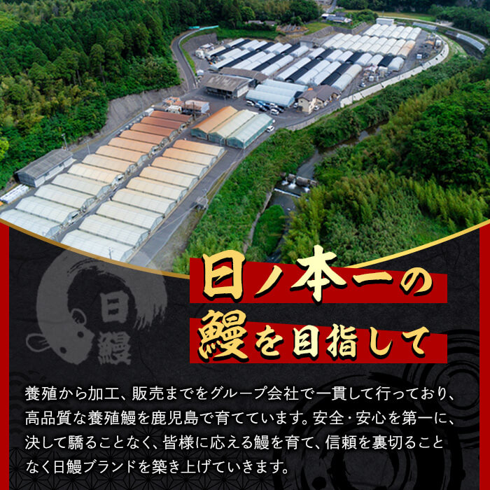 鹿児島県志布志市のふるさと納税 日ノ本一の鰻の蒲焼き＜大＞7尾セット(計1,330g以上) f0-034