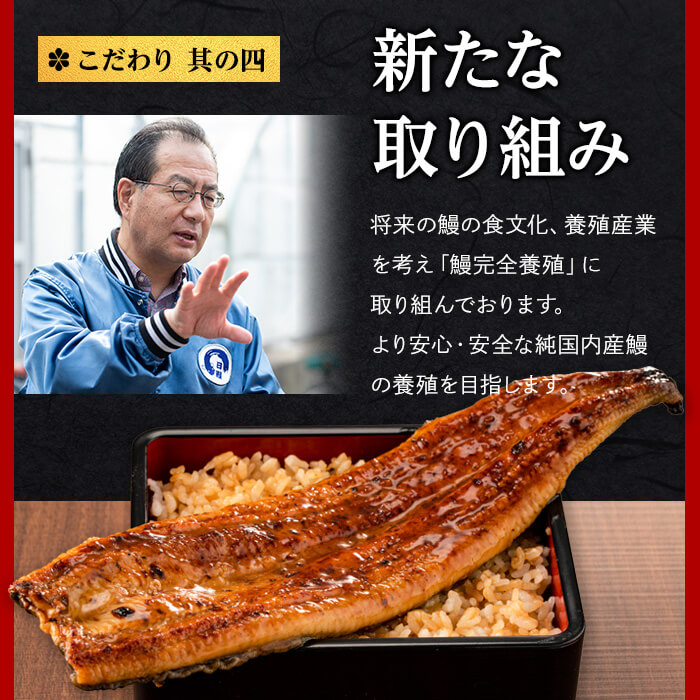 鹿児島県志布志市のふるさと納税 日ノ本一の鰻の蒲焼き＜大＞7尾セット(計1,330g以上) f0-034