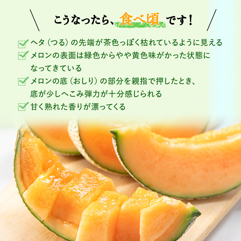 北海道上富良野町のふるさと納税 メロン 約2kg 4玉 JAふらの厳選！ 赤肉メロン めろん 果物 フルーツ デザート くだもの 旬の果物 旬のフルーツ 北海道 富良野 上富良野町