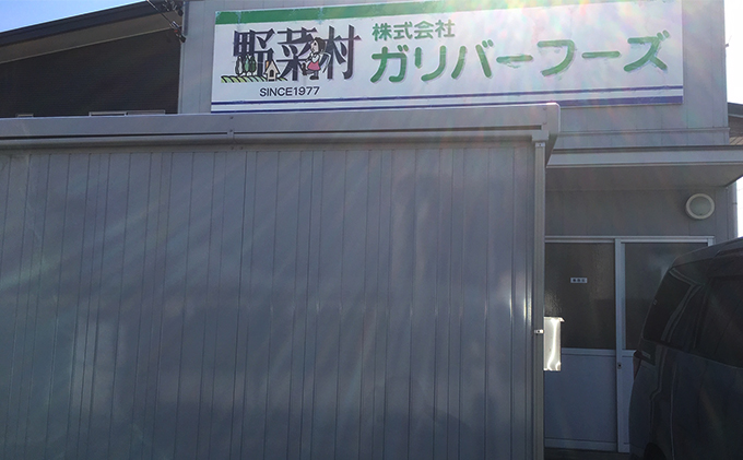 静岡県浜松市のふるさと納税 野菜村　ドレッシングギフトセット 調味料