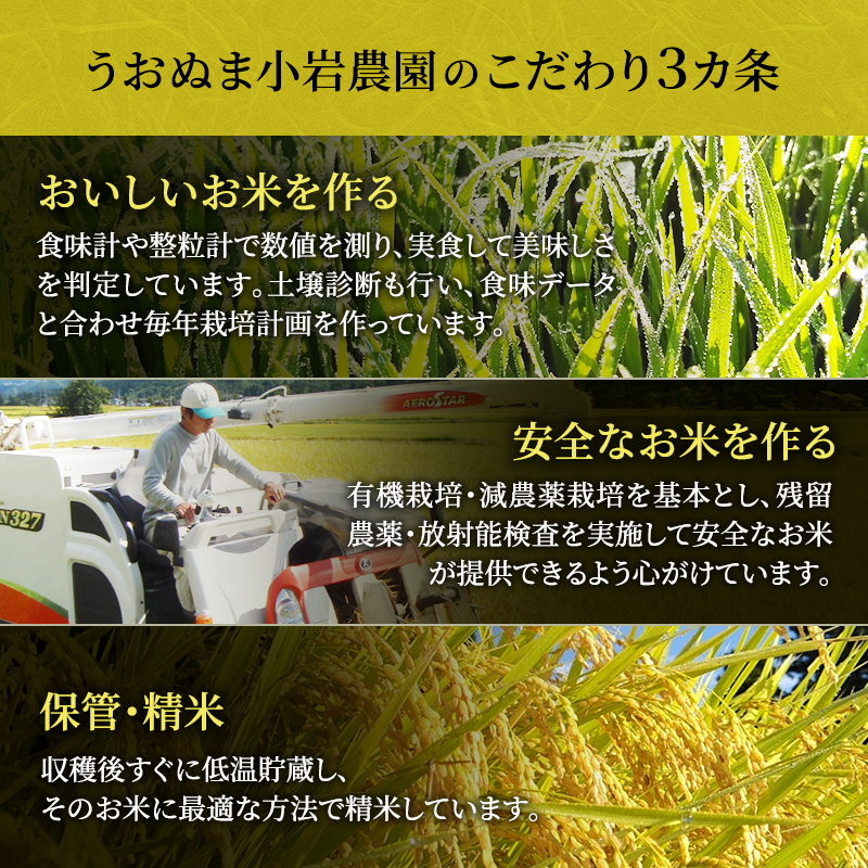 新潟県魚沼市のふるさと納税 ツバメの飛び交う棚田米 5kg袋 3ヶ月連続お届け お米 コシヒカリ