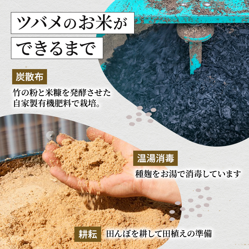 新潟県魚沼市のふるさと納税 ツバメの飛び交う棚田米 5kg 袋 6ヶ月 連続お届け （ 米 定期便 コシヒカリ こしひかり 定期 お米 新潟 魚沼 魚沼産 魚沼産コシヒカリ 魚沼産こしひかり こめ コメ おこめ 白米 お楽しみ 6回 ） 新潟県