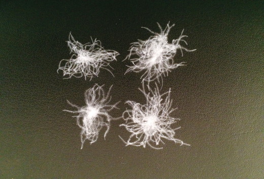 仕立て直し　羽毛ふとんシングルサイズのリフォーム　最高級仕様コース【CW70W】