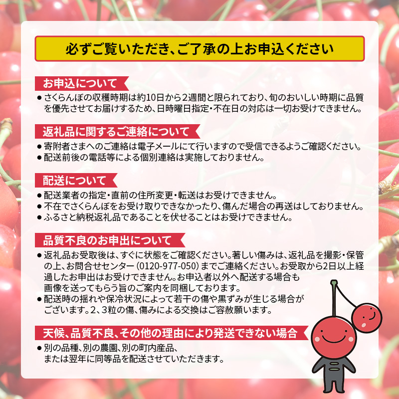 北海道仁木町のふるさと納税 先行受付 北海道 仁木町産 ジャンボサイズ さくらんぼ 【 紅秀峰 】2Lサイズ以上 300g×2パック 計600g 　サクランボ チェリー フルーツ 果物 果物類  仁木町 仁木 [嶋田茂農園匠]