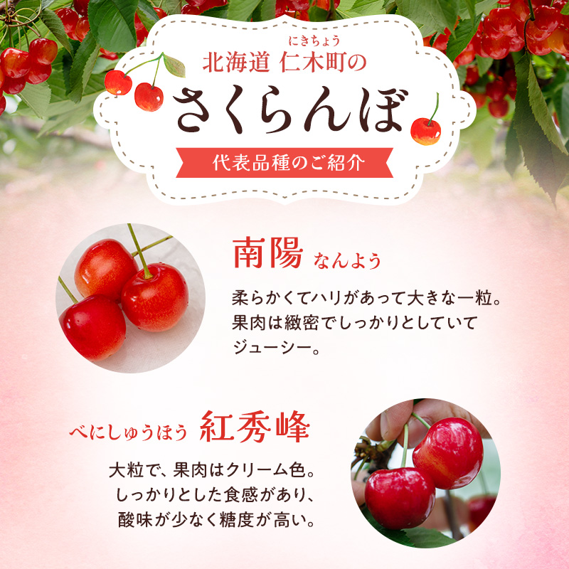 北海道仁木町のふるさと納税 先行受付 北海道 仁木町産 贈答用 さくらんぼ 【 紅秀峰 】 桐箱入 2L～3Lサイズ 500g 果物類 フルーツ サクランボ チェリー  [嶋田茂農園匠]