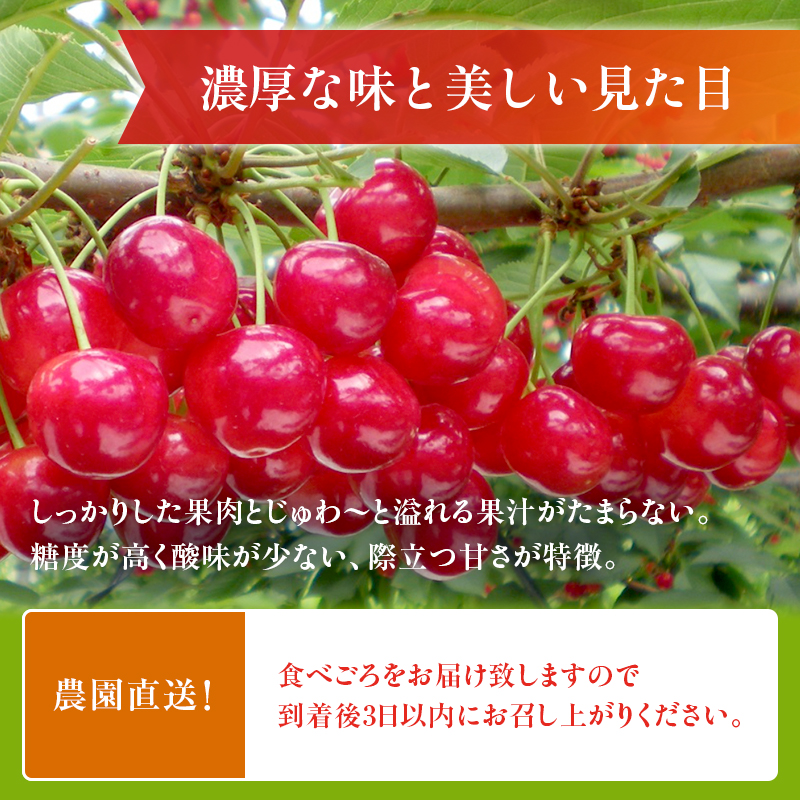 【訳あり大特価!!】色薄紅秀峰3kg Lサイズ以上 青森県産 果樹園直送 ご予約【数量限定】紅秀峰・プレミアム特大3Lサイズ 1kg
