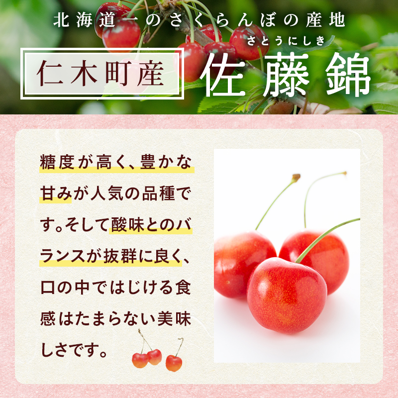 北海道仁木町のふるさと納税 先行受付 さくらんぼ 佐藤錦 300g×2P 計600g Lサイズ 北海道 仁木町　国産 旬のフルーツ 旬の果物 デザートサクランボ チェリー フルーツ 果物 果物類 仁木 [カムナビファーム]