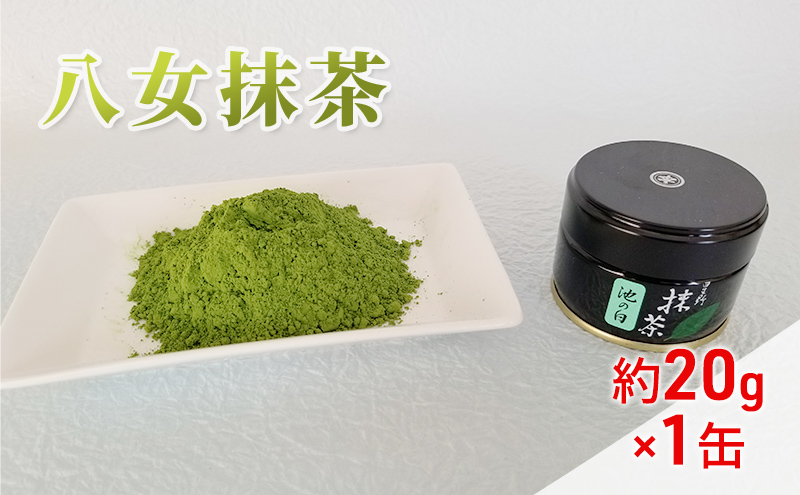 八女茶 約20g×1缶 粉末 粉末茶 お茶 星野 本格派抹茶 抹茶 