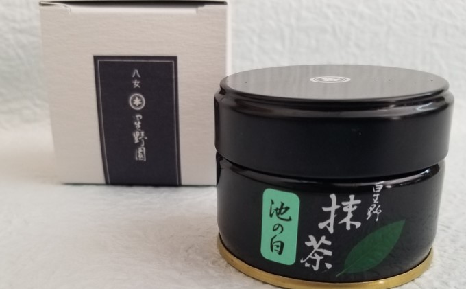 八女茶 約20g×1缶 粉末 粉末茶 お茶 星野 本格派抹茶 抹茶 