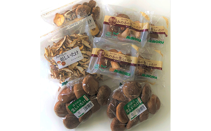 岡山県赤磐市のふるさと納税 生椎茸 ・ 乾燥椎茸 詰め合わせ セット 野菜 きのこ 椎茸 しいたけ 乾物 干し椎茸 干ししいたけ 野菜セット