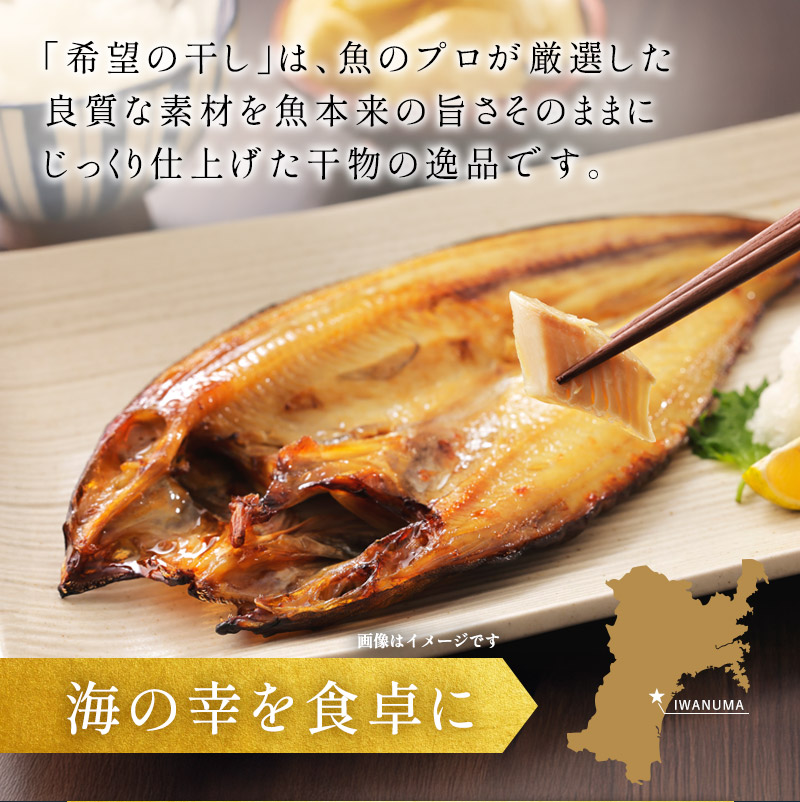 厳選 干物セット 希望の干し Aセット 詰め合わせ 干物 ひもの さば にしん 真ホッケ しまほっけ 赤魚 5枚 セット 魚 魚介 魚介類 冷凍 ギフト 贈り物 プレゼント ギフトセット 宮城 宮城県 岩沼市