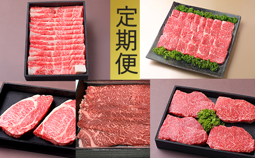 [4等級以上]お肉の定期便[近江牛 牛づくしの会][AB72U]
