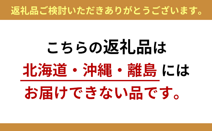 静岡県浜松市のふるさと納税 光の楽園　プレミアム胡蝶蘭７本立W【配送不可：北海道・沖縄・離島】 雑貨 日用品 植物 造花
