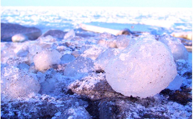 【北海道紋別市】10-1 オホーツク海の流氷(5kg程度)