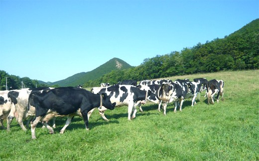 �y�k�C����ʎs�z20-85 �q��̌��@�~���N�W�����Z�b�g�t