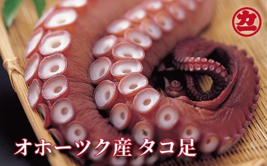 ykCʎsz14-206 Iz[cNY^R