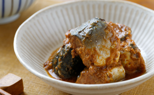 17-50 【年内配送12月15日入金まで】さば味噌煮缶A(10缶) within2025