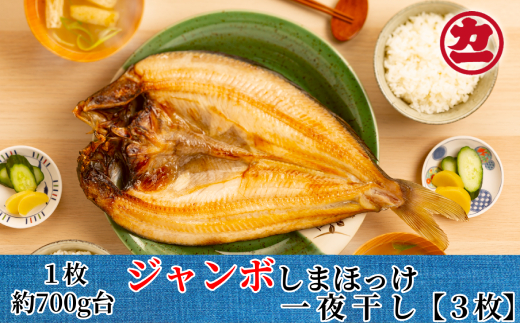 ykCʎsz14-103 債܂ق銱3Zbg