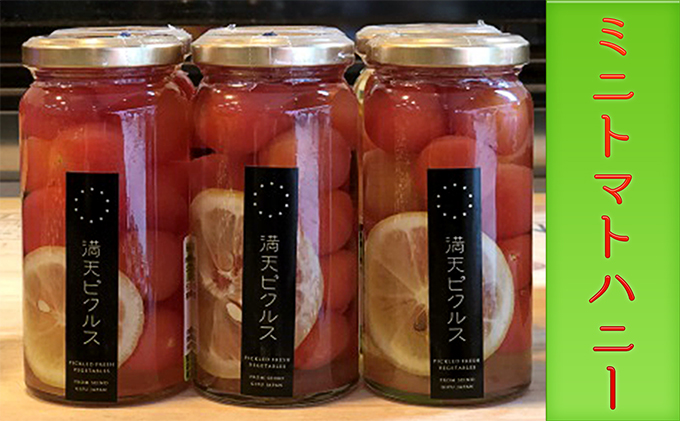 満天ピクルスおまかせ6本セット 漬物 缶詰 加工食品 