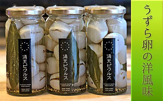 満天ピクルスおまかせ6本セット 漬物 缶詰 加工食品 