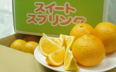 小豆島 】スイートスプリング 10kg 果物類 みかん 柑橘類 | 【直営