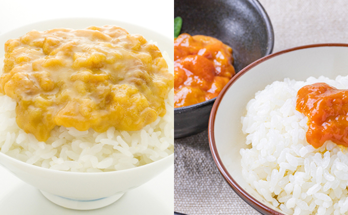 うに醤油漬け80g×2・うに塩漬け80g×2 オホーツク枝幸前浜獲り［北隆丸］【 うに ウニ 雲丹 魚卵 魚貝 塩漬け 醤油漬け 漬け 瓶 珍味 魚介 加工食品 北海道 オホーツク 枝幸 】