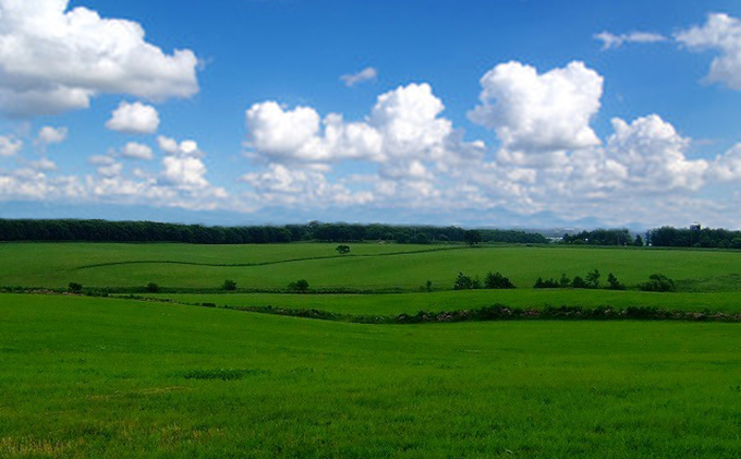  あっけし極みるくあいす10個  北海道 牛乳 乳製品 ミルク アイス アイスクリーム お菓子 