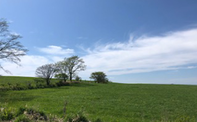  あっけし極みるくあいす10個  北海道 牛乳 乳製品 ミルク アイス アイスクリーム お菓子 