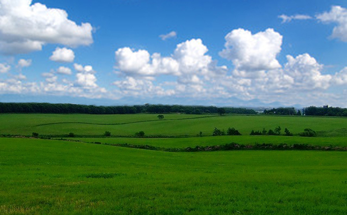 あっけし極みるくチョコ・極みるくあいす（各5個） お菓子 アイス ミルク 