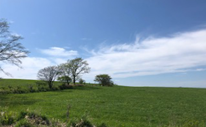 あっけし極みるくチョコ・極みるくあいす（各5個） お菓子 アイス ミルク 