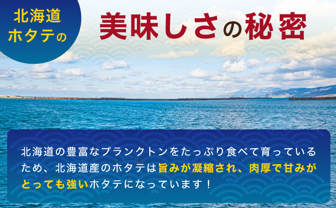 北海道産 冷凍 帆立貝柱 1kg (35玉前後) ホタテ ほたて 玉冷 魚貝類 