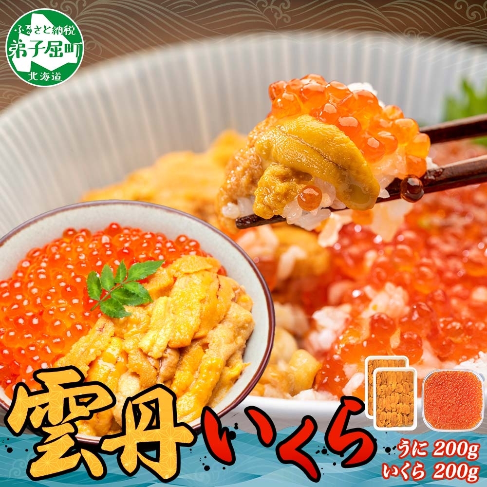 [年末配送可能 受付9月まで]3400. ウニ チリ産 冷凍 100g×2個 いくら 200g 二色丼 雲丹うに イクラ 海鮮 期間限定 数量限定 送料無料 北海道 弟子屈町