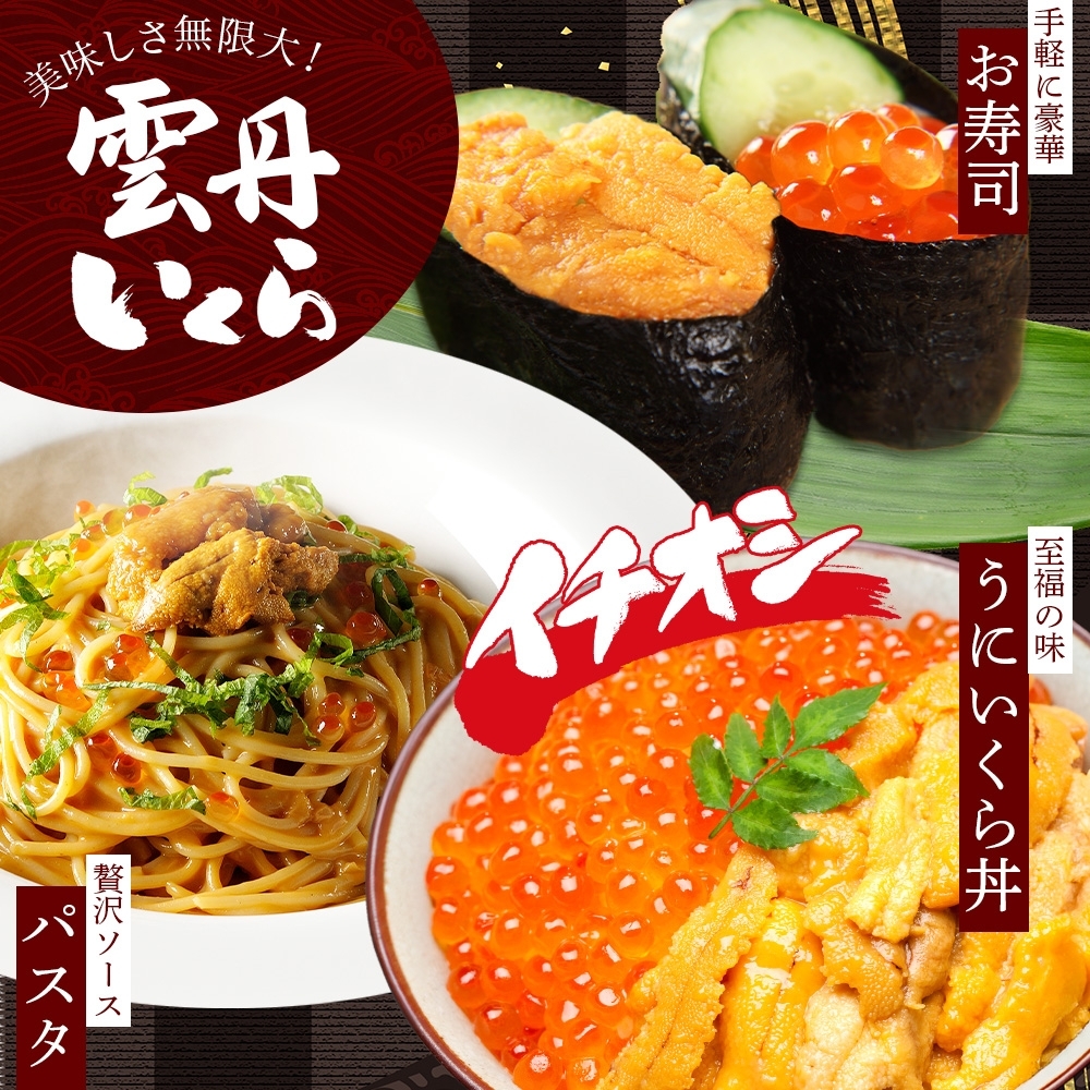 北海道弟子屈町のふるさと納税 【年内配送 12月14日まで受付】3594. ウニ チリ産 冷凍 100g×2個 いくら 200g 二色丼 雲丹うに イクラ 海鮮 期間限定 数量限定 送料無料 北海道 弟子屈町