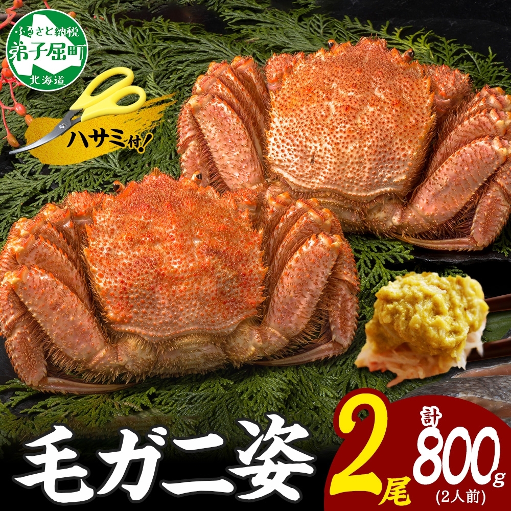 北海道弟子屈町のふるさと納税 3357. 毛蟹 2尾 計800g前後 食べ方ガイド・専用ハサミ付 カニ かに 蟹 海鮮 ボイル 送料無料 北海道 弟子屈町