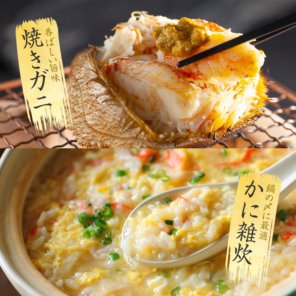 北海道弟子屈町のふるさと納税 3357. 毛蟹 2尾 計800g前後 食べ方ガイド・専用ハサミ付 カニ かに 蟹 海鮮 ボイル 送料無料 北海道 弟子屈町