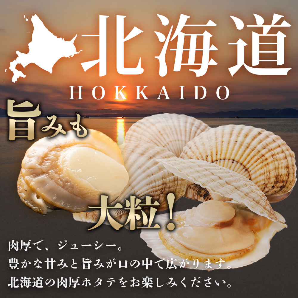 北海道弟子屈町のふるさと納税 【年末配送可能 受付9月まで】2947.ボイル ほたて 500g ホタテ 2Lサイズ 大粒 帆立 魚介 海鮮 貝 お取り寄せ グルメ 贈り物 冷凍 送料無料 北海道 弟子屈町
