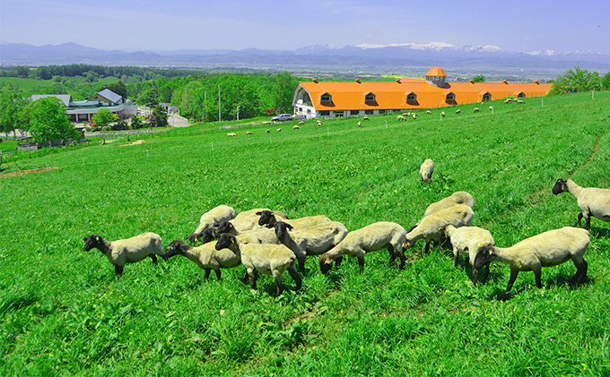 松尾めん羊牧場産　ラムムートン　フリース2匹物