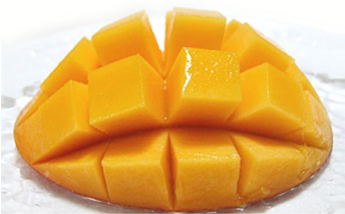 マンゴー‼️ 綾川町産 さぬき完熟マンゴー 2玉入 厳選糖度15度以上 果物 フルーツ