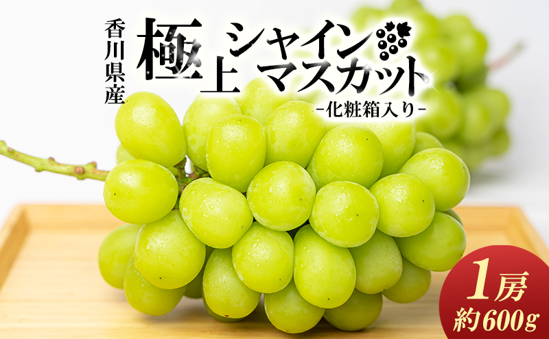 綾川町産 極上シャインマスカット 大房1房(化粧箱入り) 果物 ぶどう フルーツ 葡萄 シャインマスカット