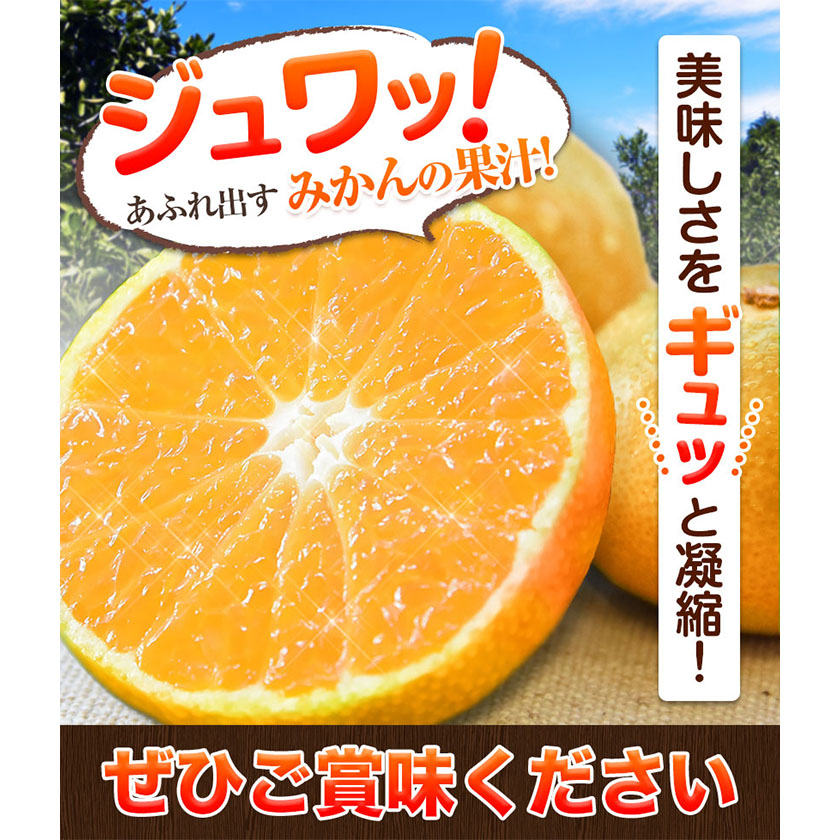 熊本県長洲町のふるさと納税 【年内発送】みかん 訳あり くまもと小玉みかん 5kg (2.5kg×2箱) 秋 旬 先行予約 ちょっと訳あり 不揃い 傷 ご家庭用 SDGs 小玉 たっぷり 熊本県 産 S-3Sサイズ フルーツ 旬 柑橘 長洲町 温州みかん《1-5日以内に出荷予定(土日祝除く)》