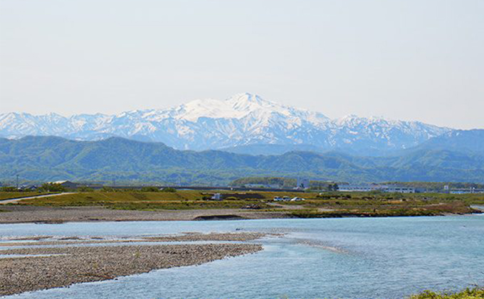 石川県産コシヒカリ 姫九谷(精米) 5kg お米 