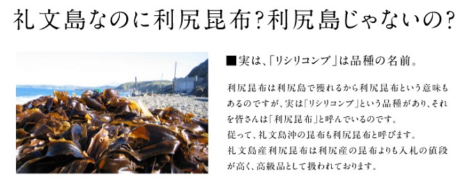 利尻昆布 400g 魚貝類 こんぶ 