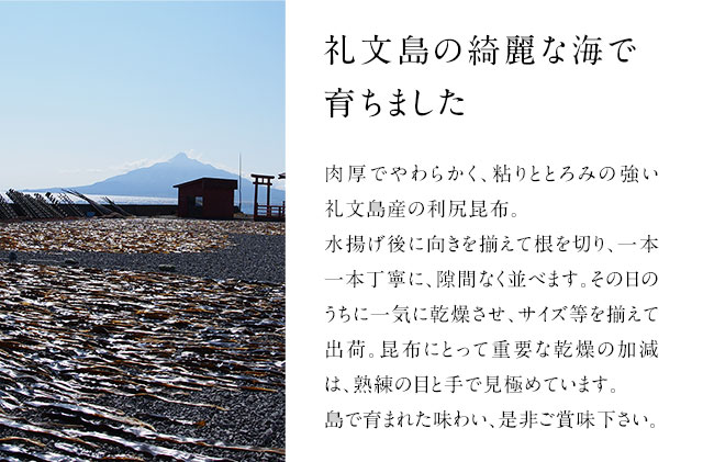 北海道礼文島産　根昆布 900g（300g×3個） 魚貝類 こんぶ 